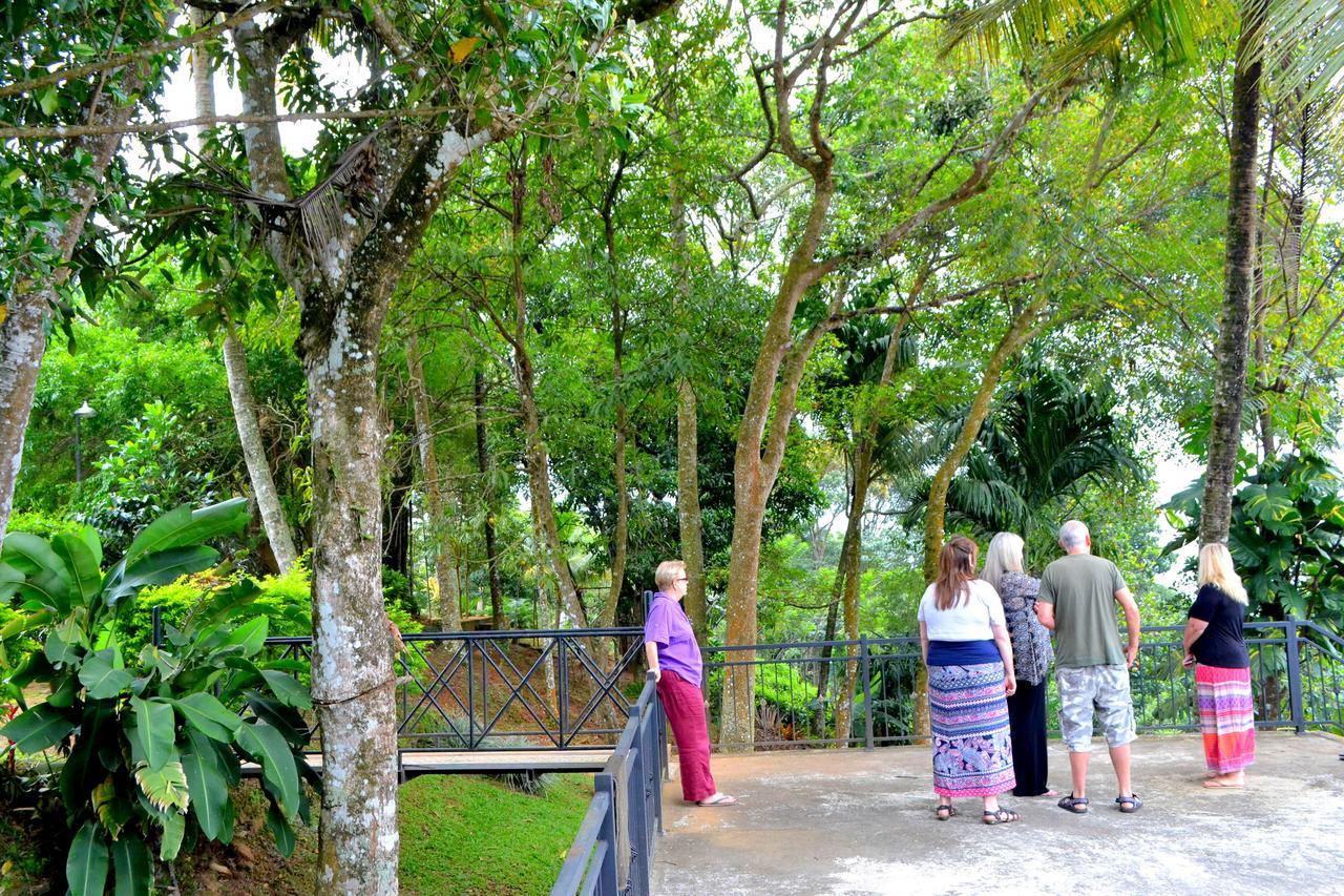 Sama Uyana Holiday Bungalow Gampola Buitenkant foto