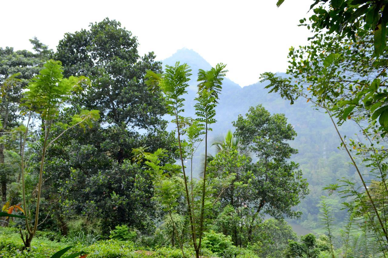Sama Uyana Holiday Bungalow Gampola Buitenkant foto