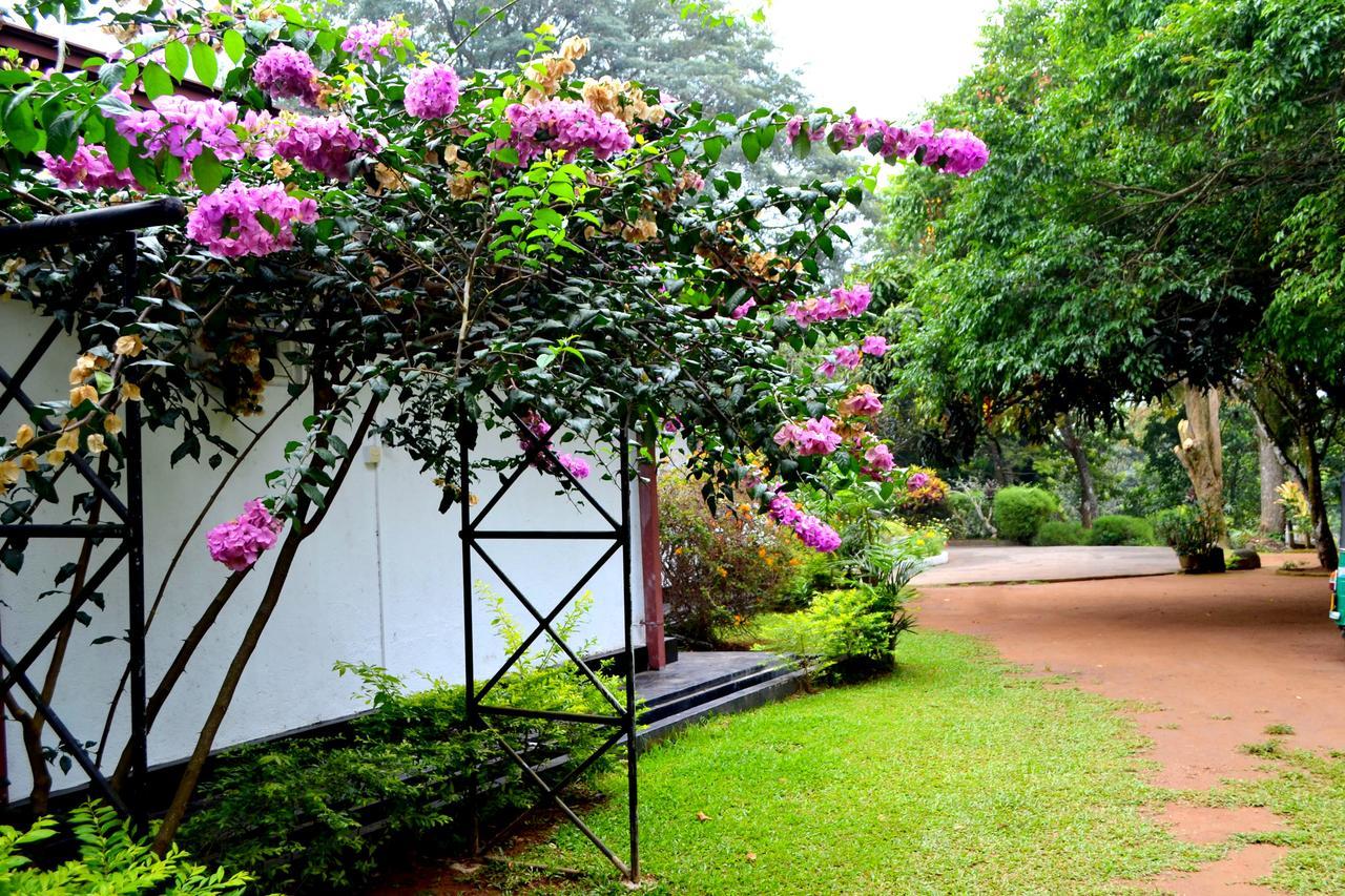 Sama Uyana Holiday Bungalow Gampola Buitenkant foto